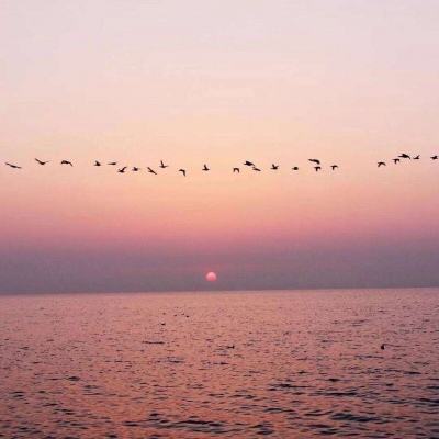 ayx爱游戏全站app下载