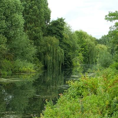 必一体育官方下载入口