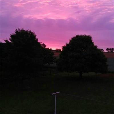 必一体育官方下载入口