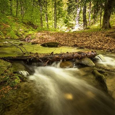 半岛·综合体育下载·官方网站