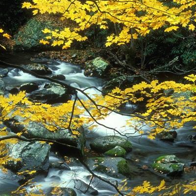 hth华体育(中国)官方入口手机app下载